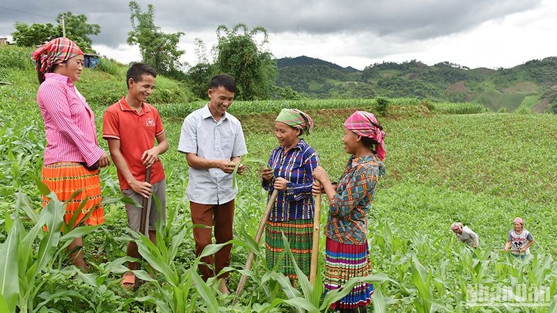 Hướng dẫn người dân bản Tà Han, xã Xuân Lạc, huyện Chợ Đồn, Bắc Kạn, trồng ngô năng suất cao. (Ảnh: Trần Hải)