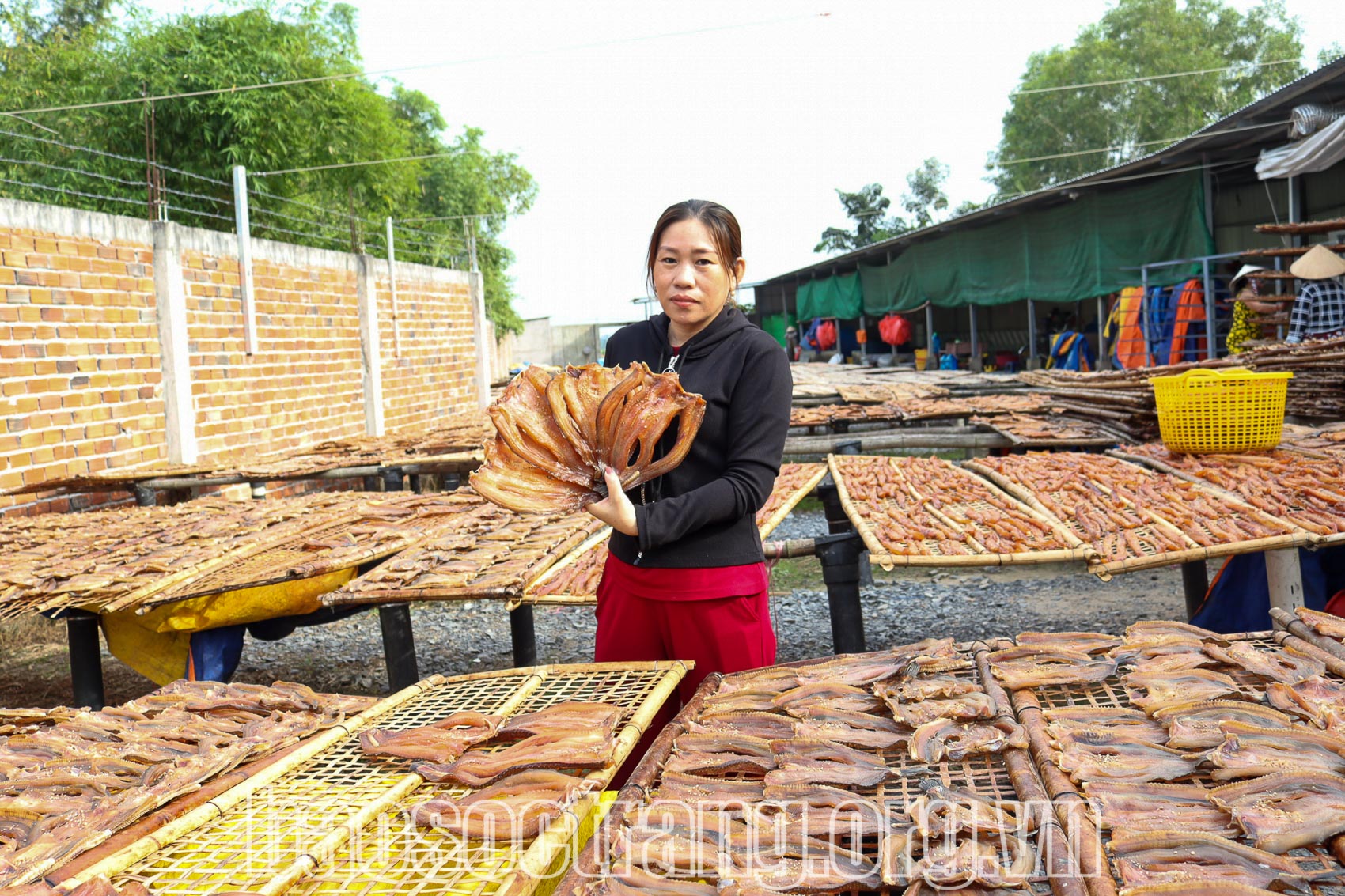 Một làng ở Sóc Trăng, cứ sắp Tết là khách gọi 