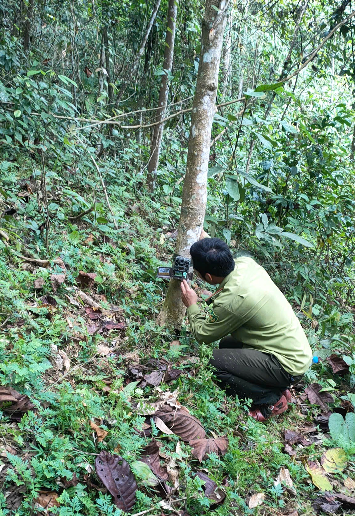 Ranger journey into the forest to set camera traps in Pu Huong Nature Reserve photo 10