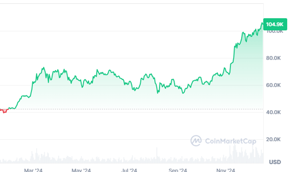 Bitcoin202418Dec.gif