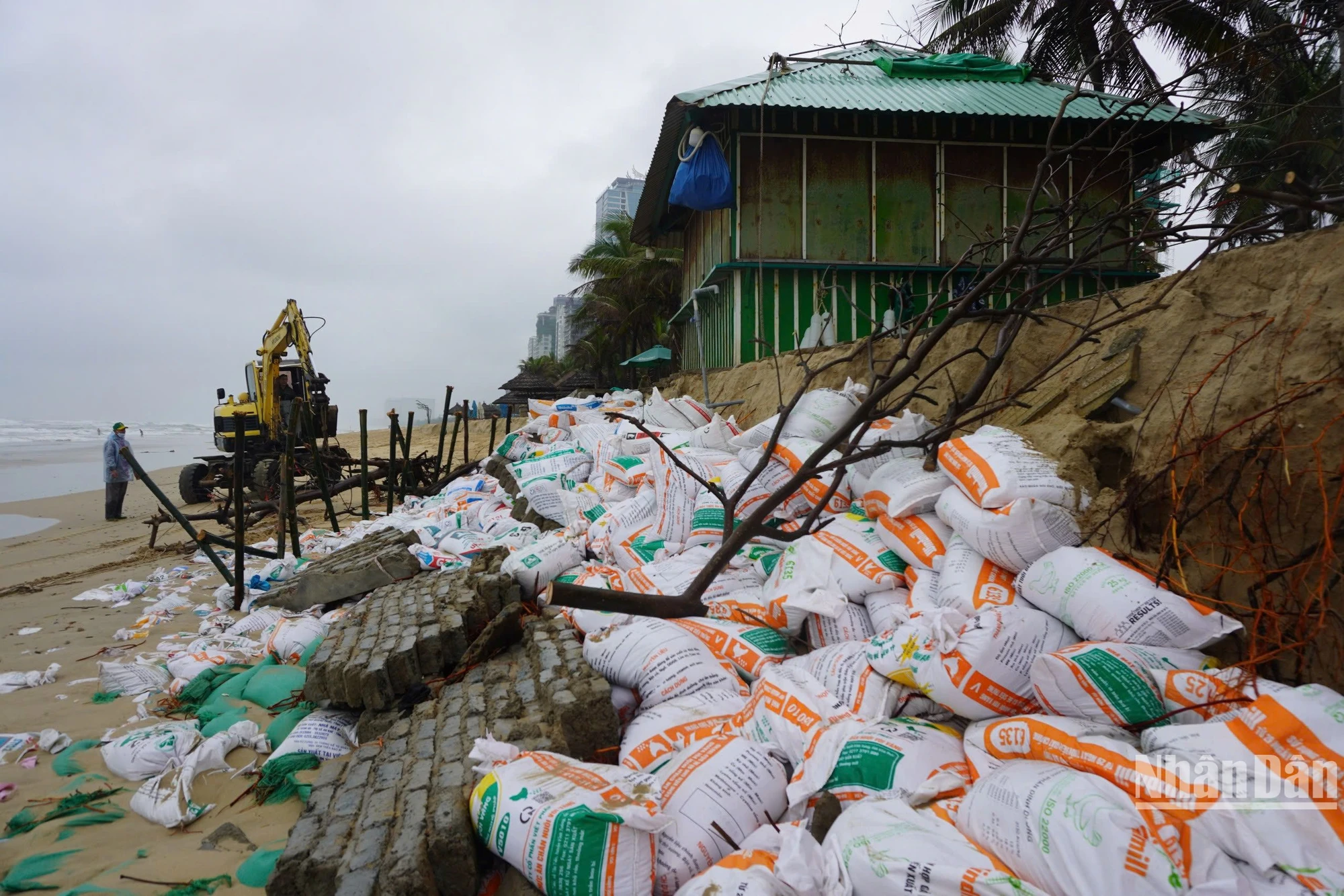 [Photo] More than 100m of Da Nang coastline was eroded by waves, seriously damaged photo 7