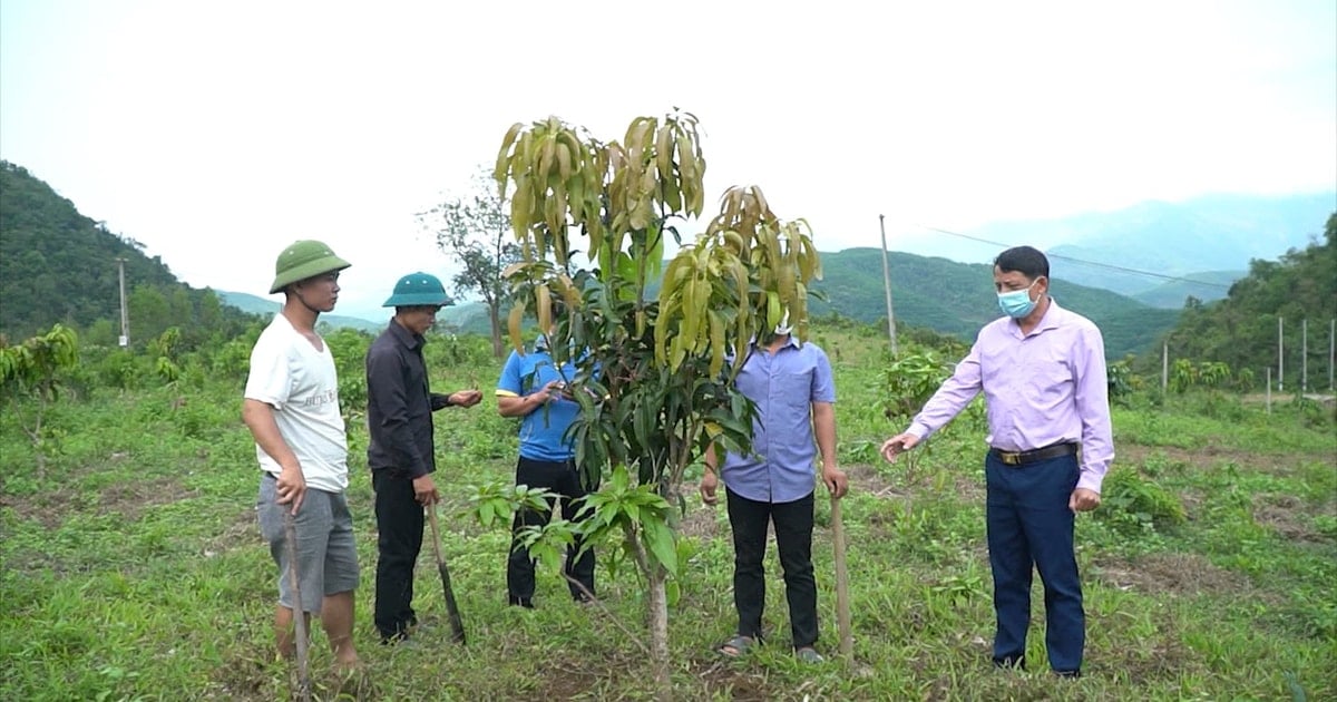 ការ​ដោះស្រាយ​ការ​ខ្វះខាត​ដីធ្លី និង​លំនៅឋាន​របស់​ជនជាតិ​ភាគតិច