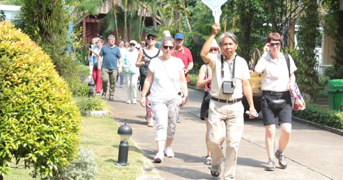 Tourism "bumpers" during Tet "thanks" to international visitors