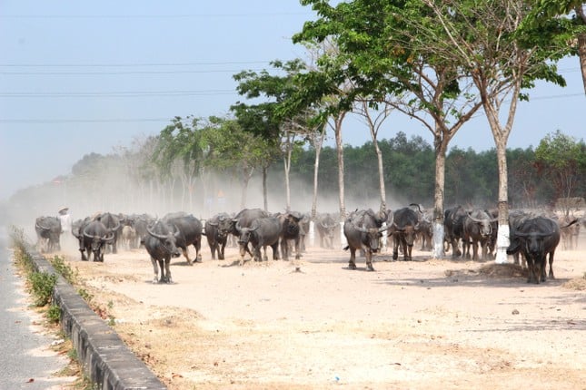 ទីក្រុង​ខ្មោច​ញនត្រាច​ត្រូវ​បាន​បោះបង់ចោល​ជាង​២០​ឆ្នាំ​រូបថត​១២