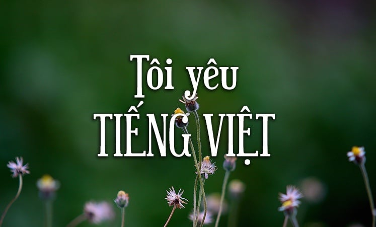 Necesitamos preservar la pureza del idioma vietnamita.