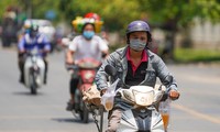 Calor continuo después del Tet, ¿qué hay que tener en cuenta sobre el tiempo en Ciudad Ho Chi Minh y el Sur esta semana?