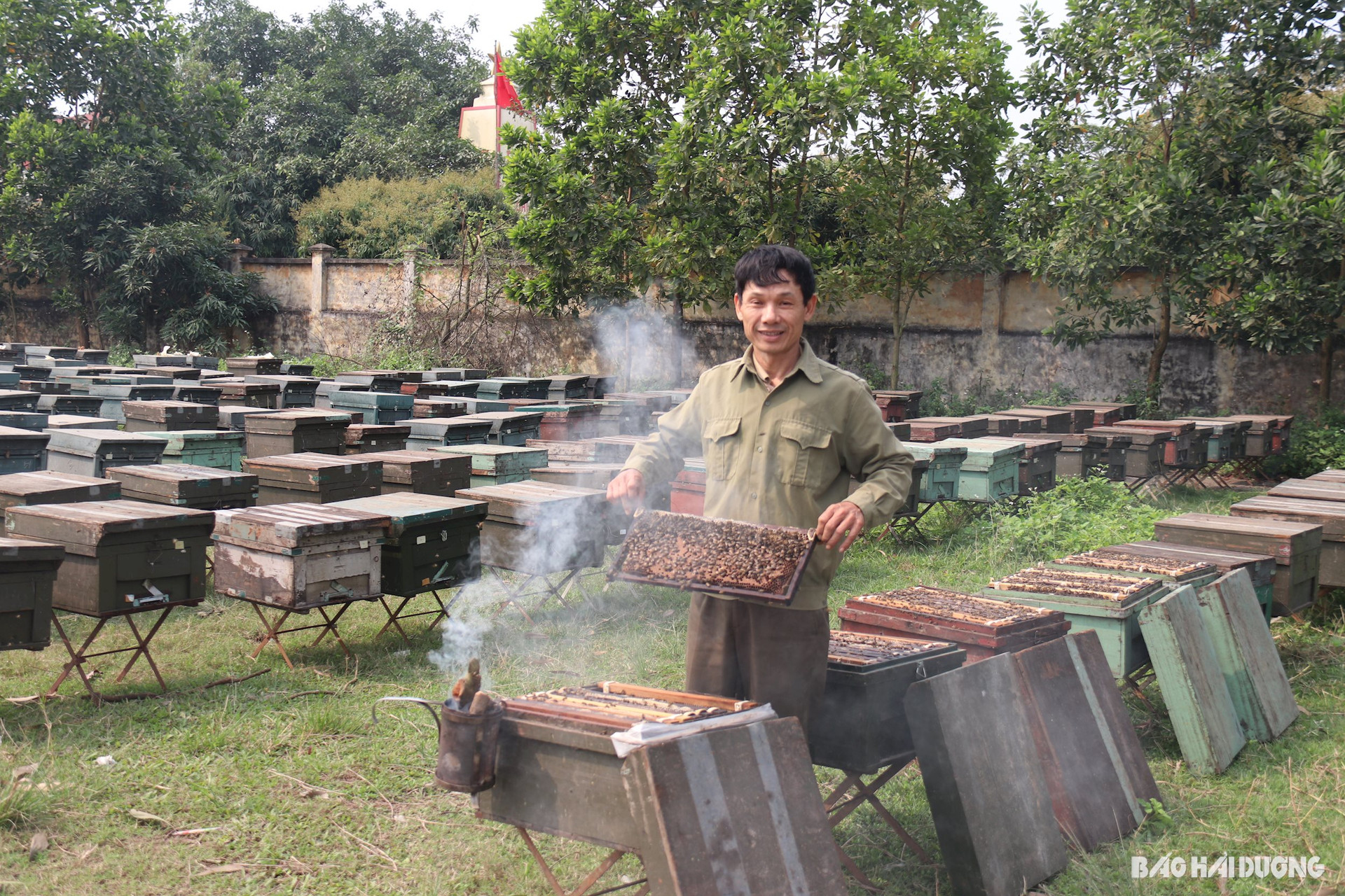 Về Thanh Hà, Hải Dương xem thợ ong lấy mật vải là một trong những trải nghiệm thú vị vào tháng 3 hằng năm- Ảnh 4.