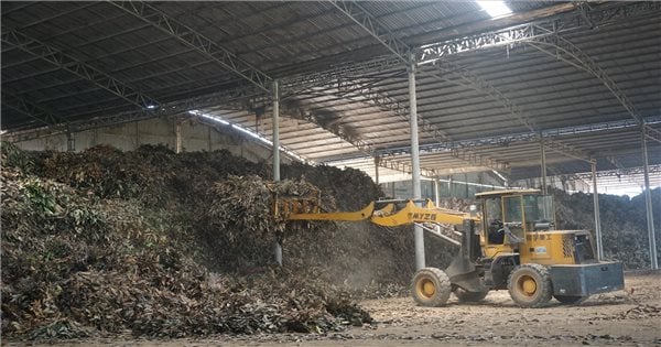 Bảo Yên (Lào Cai): “Kích thích” đầu tư phát triển liên kết chuỗi trong sản xuất nông – lâm nghiệp