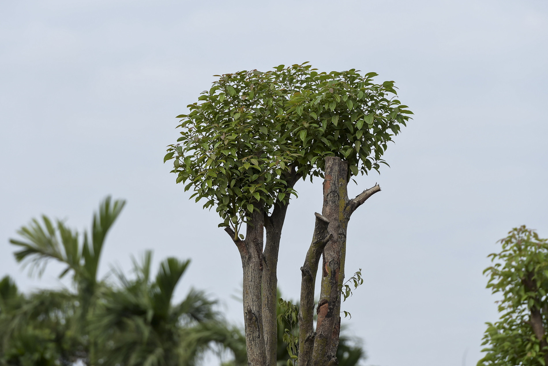 picture 2.jpg