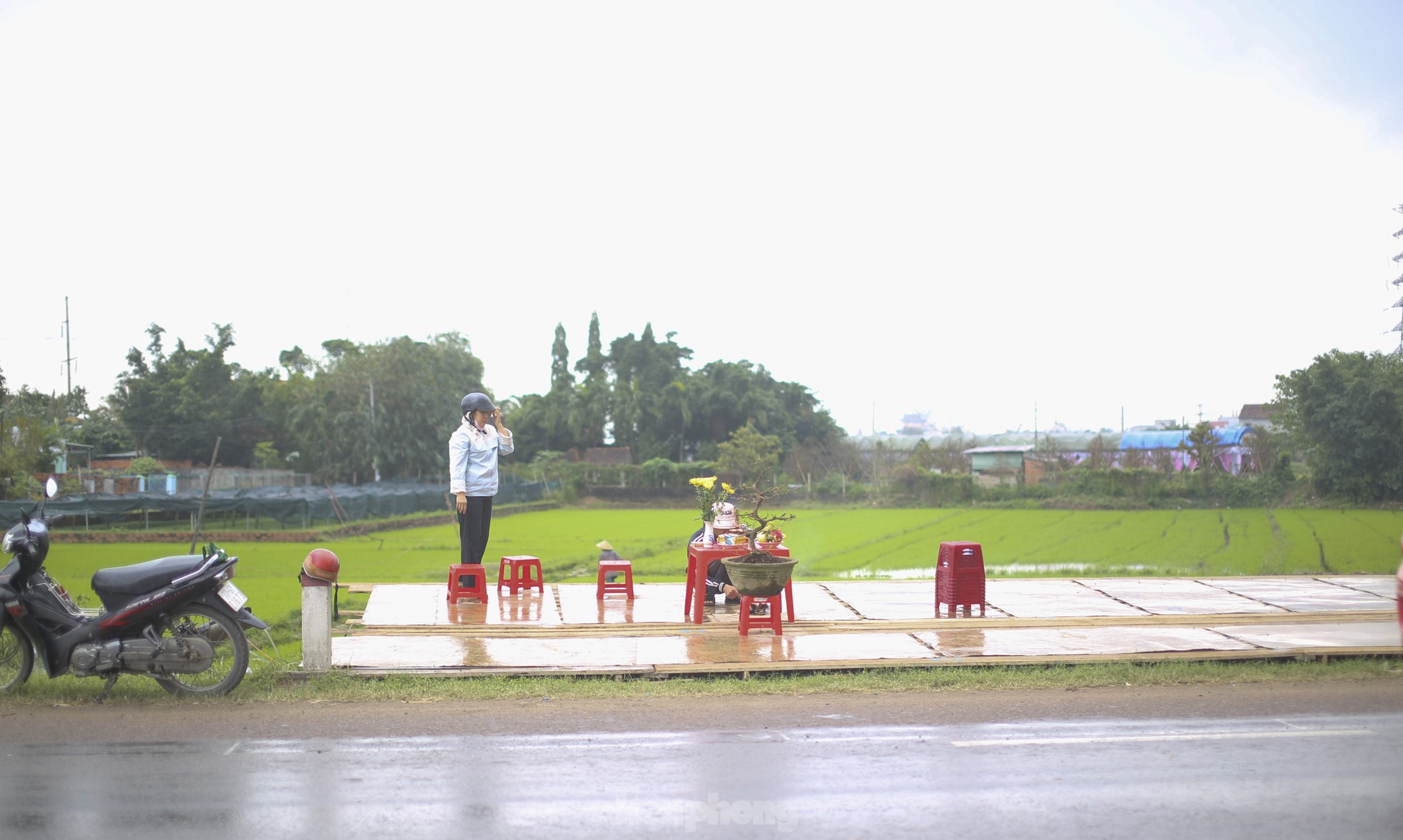 Los jardineros están ocupados instalando puestos y colocando flores de Mai en la calle para 'retener' a los clientes, foto 8