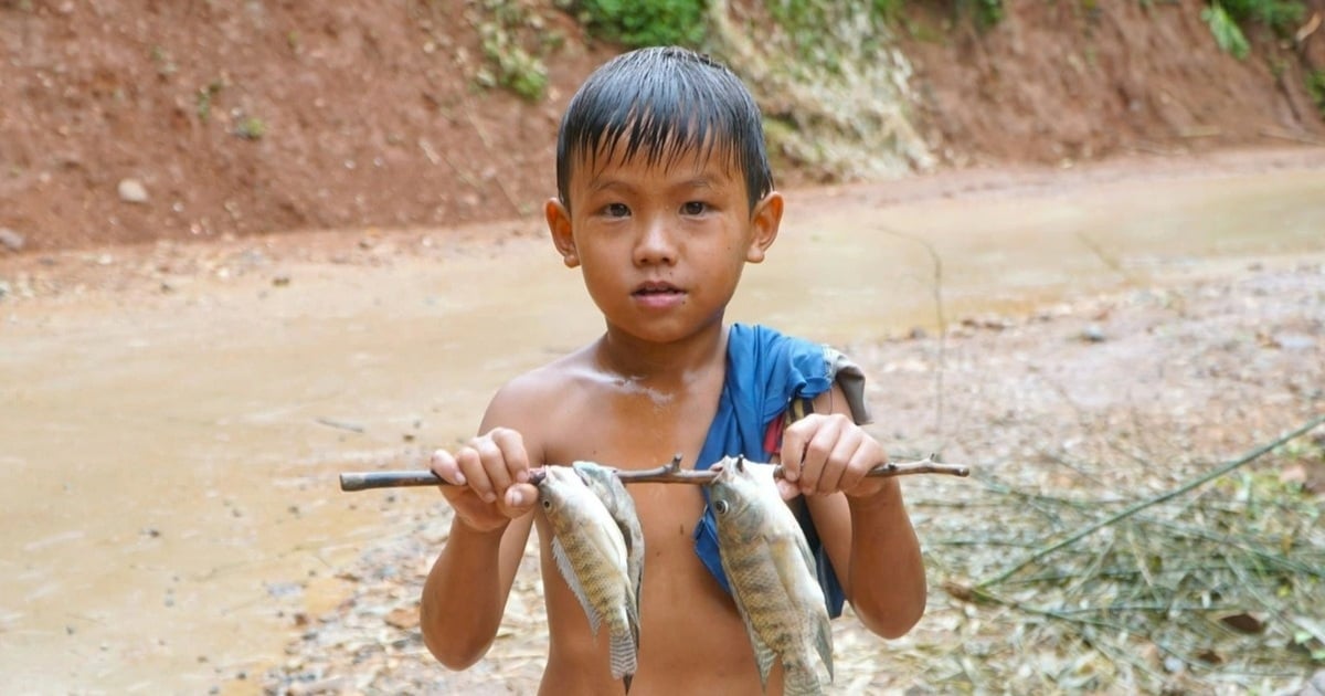 “วันหยุดฤดูร้อนที่ไม่ฝัน” สำหรับเด็ก ๆ ในเขตที่สูง