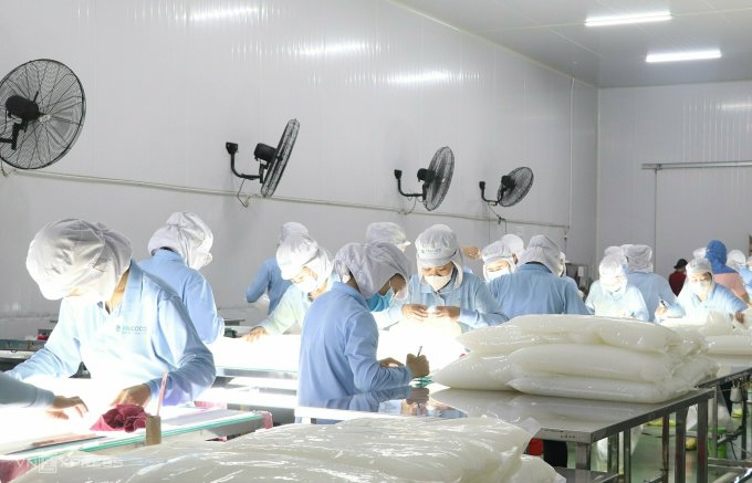 Les ouvriers de l'usine Vinacoco vérifient les produits à base de gelée de noix de coco destinés à être emballés pour l'exportation. Photo : Linh Dan