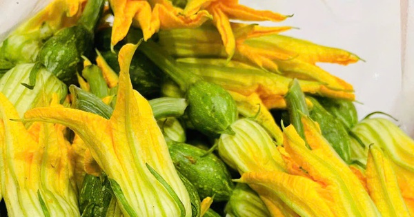 Un médecin révèle les incroyables bienfaits des fleurs de citrouille