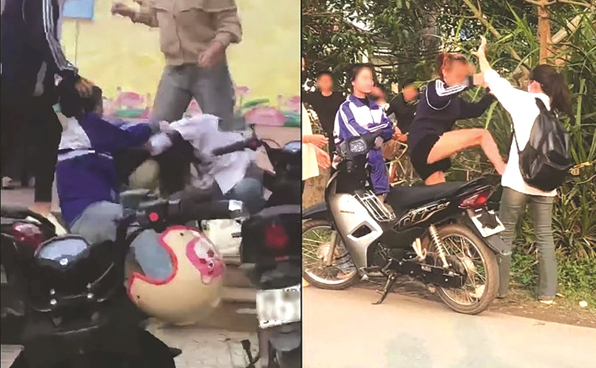 bai-gd.jpg