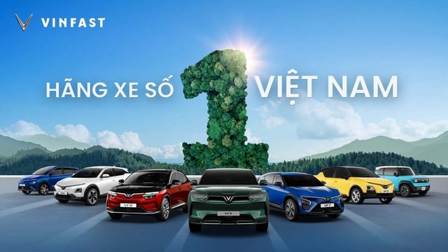 VinFast bán chạy nhất Việt Nam năm 2024- Ảnh 1.