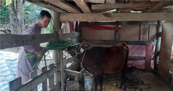 Chương trình MTQG 1719 đang góp phần thay đổi diện mạo vùng cao Bảo Lạc