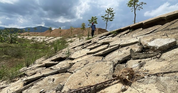 El proyecto del terraplén de 93 mil millones de dongs sufrió daños antes de ser entregado.