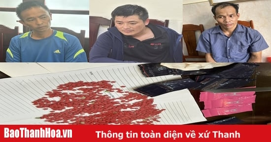 Triệt phá đường dây mua bán, vận chuyển hơn 3.000 viên ma túy tổng hợp từ Lào về Việt Nam