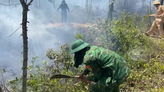 ประชาชนนับร้อยระดมกำลังดับไฟป่าในอำเภอห่าติ๋ญ ภาพที่ 9