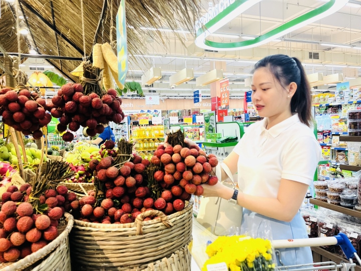 Saigon Co.op tưng bừng tổ chức Ngày hội Gia đình Việt Nam 28/6 - 1