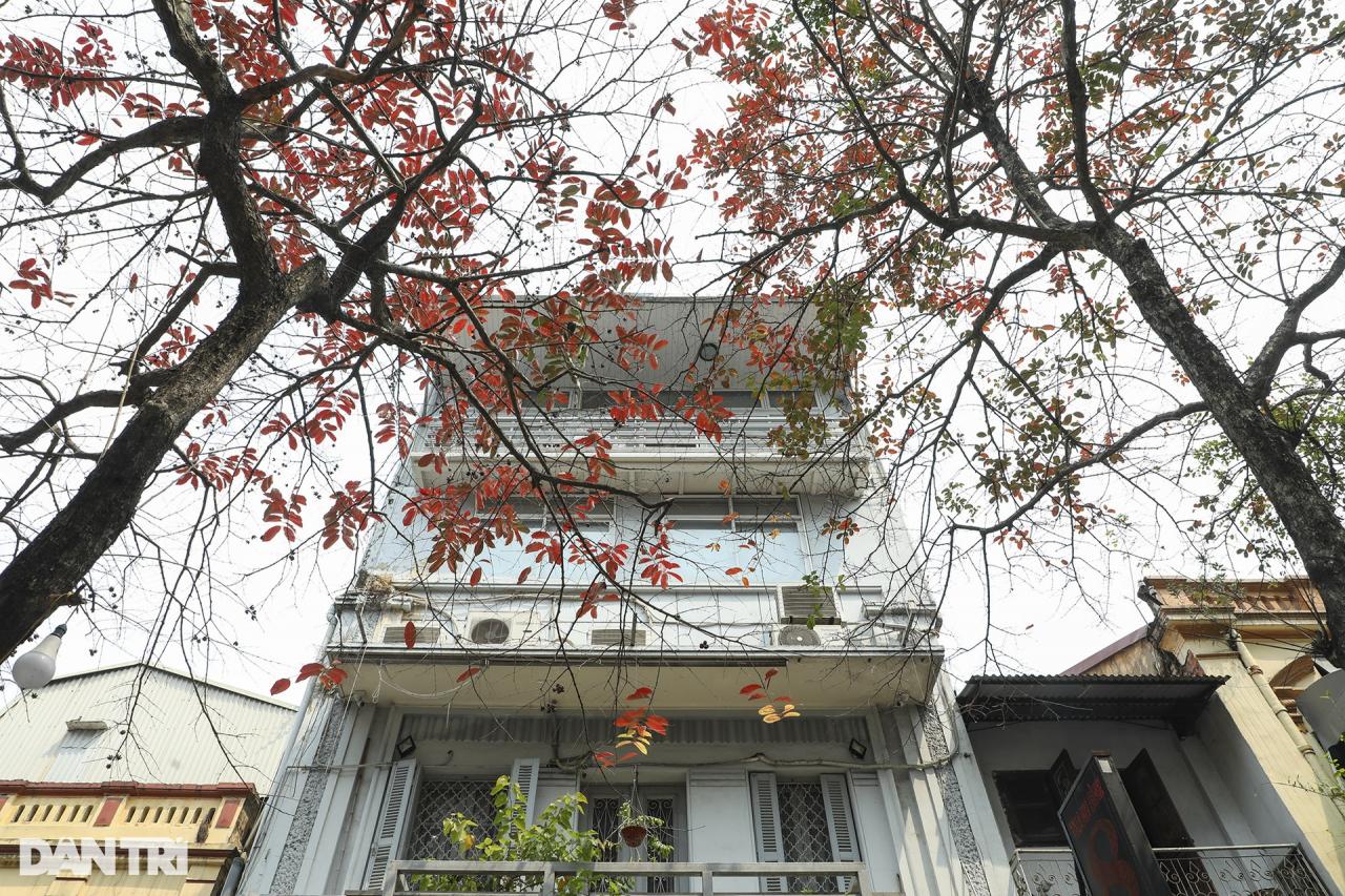 ハノイの紅葉シーズンの奇妙に美しい街角 - 6 Những góc phố đẹp lạ trong mùa cây lá đỏ ở Hà Nội - 6