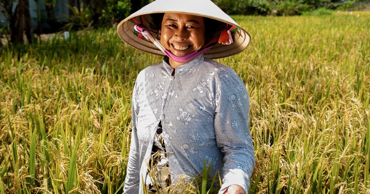 Ho Chi Minh-Ville va inciter les grandes entreprises à investir dans le delta du Mékong