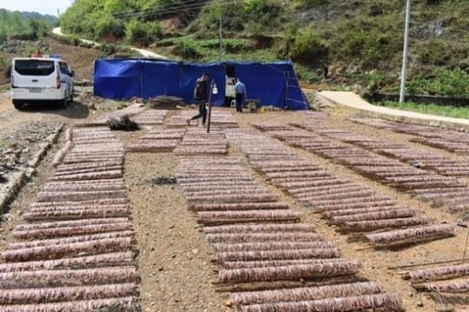 Una instalación de secado de lombrices en Weining, provincia de Guizhou. Foto: Xinhua