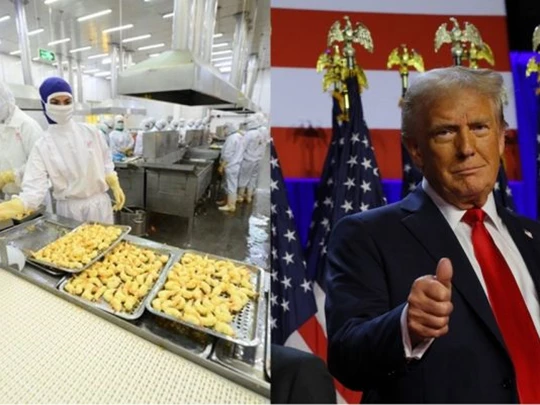 Когда Дональд Трамп стал президентом США, вьетнамский продукт оказался в большой выгоде.