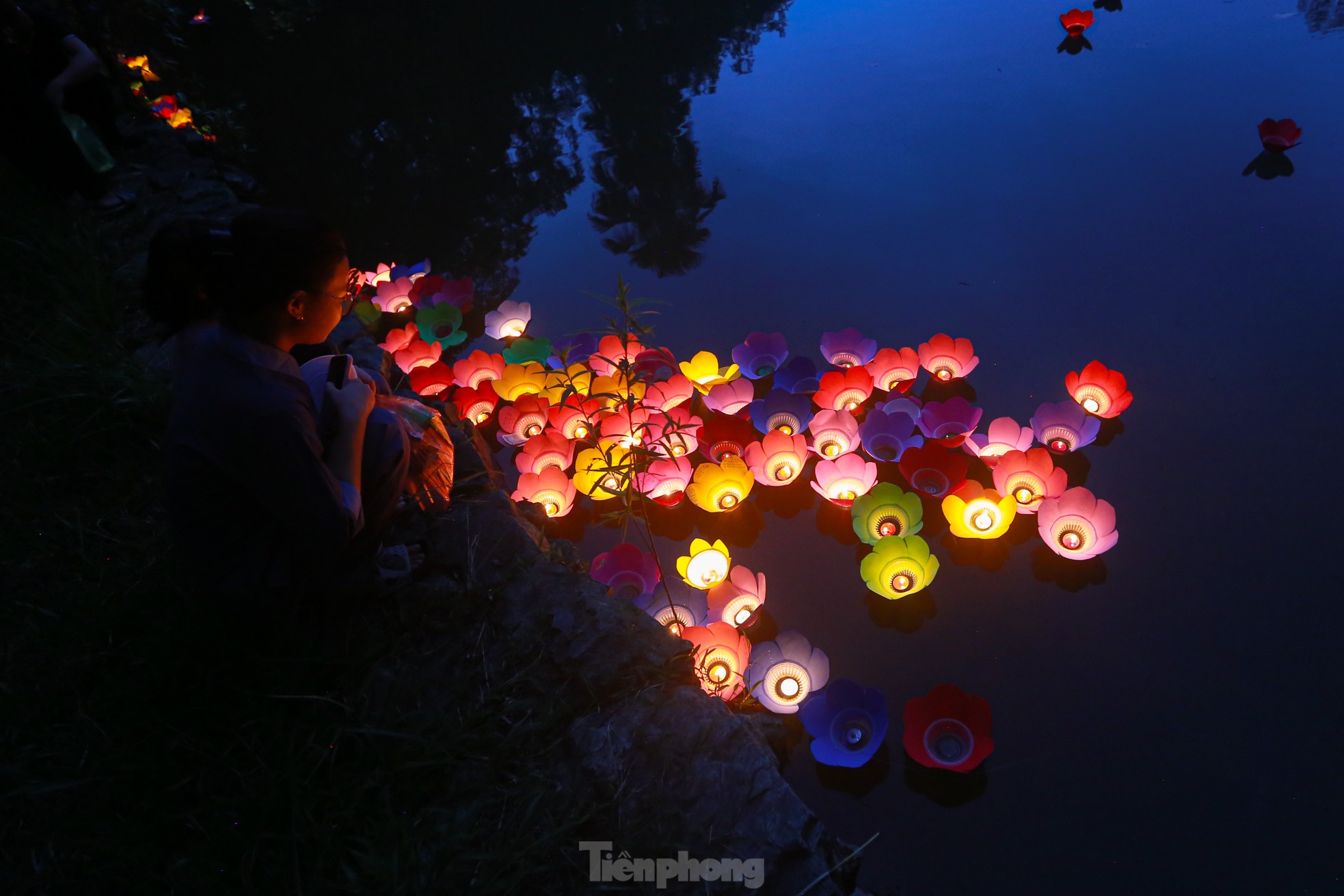 People in the capital release flower lanterns to show their gratitude during Vu Lan festival photo 24