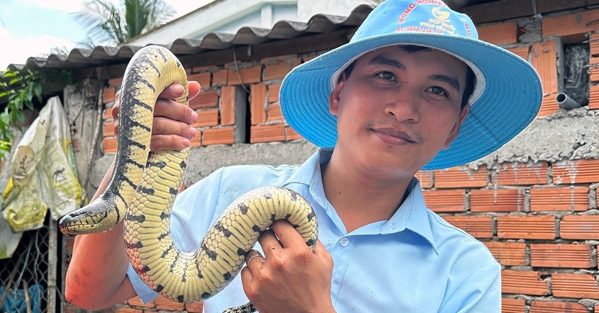 セメントの水槽に絡みついた何千匹ものヘビを飼育し、若者は年間5億ドルを稼ぐ