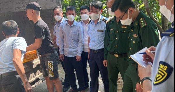 Temporarily detained more than 3 tons of pork smelling rotten