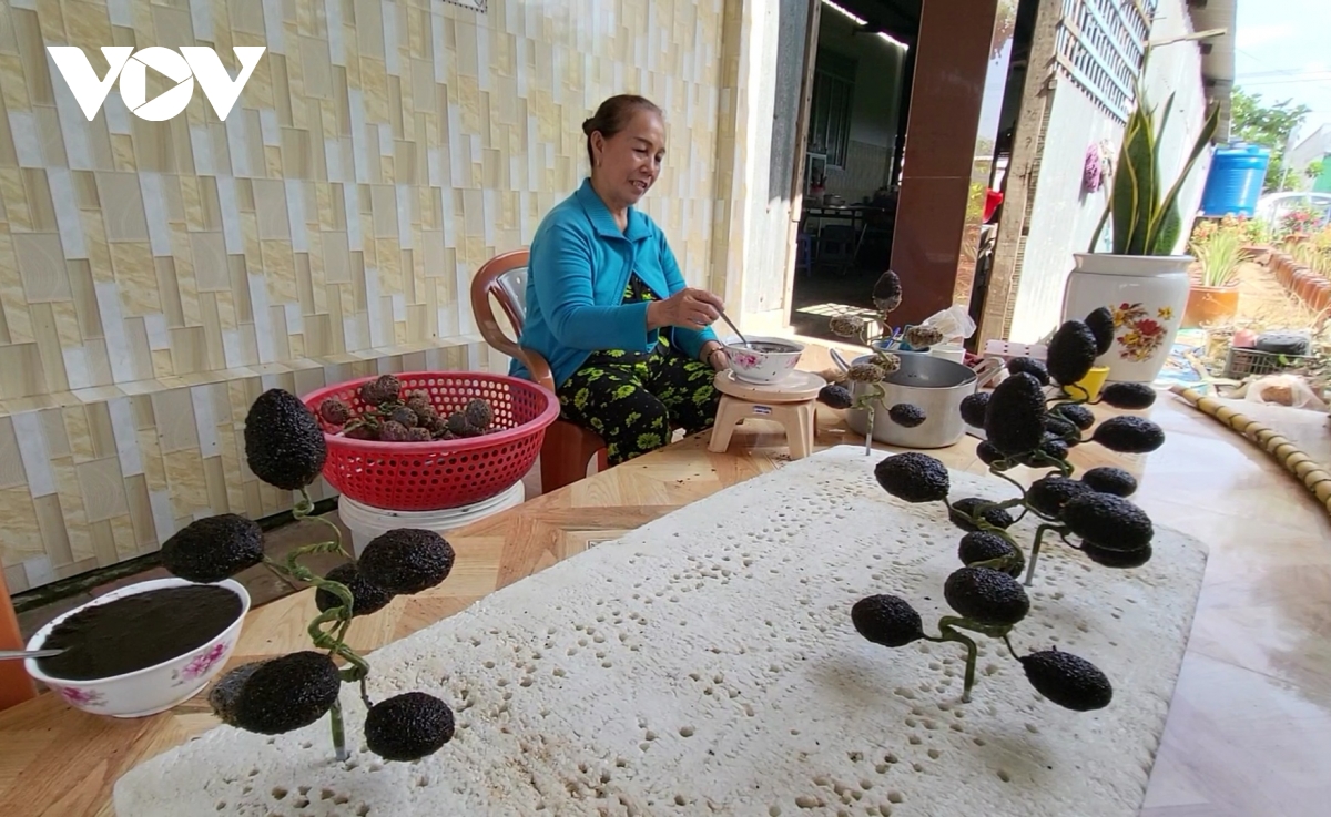 nguoi phu nu o hau giang 10 nam trong co lam canh tu hat thanh long hinh anh 1