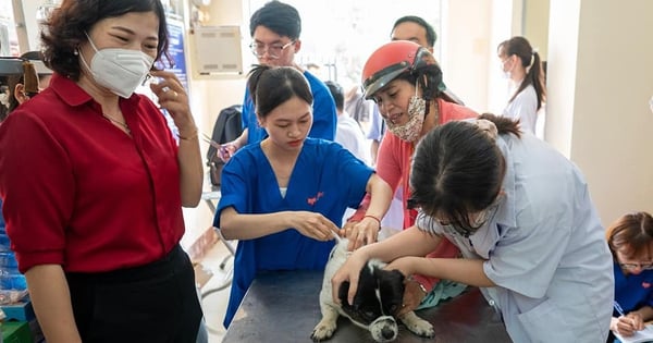 Over 9 points/subject to be admitted to veterinary training program