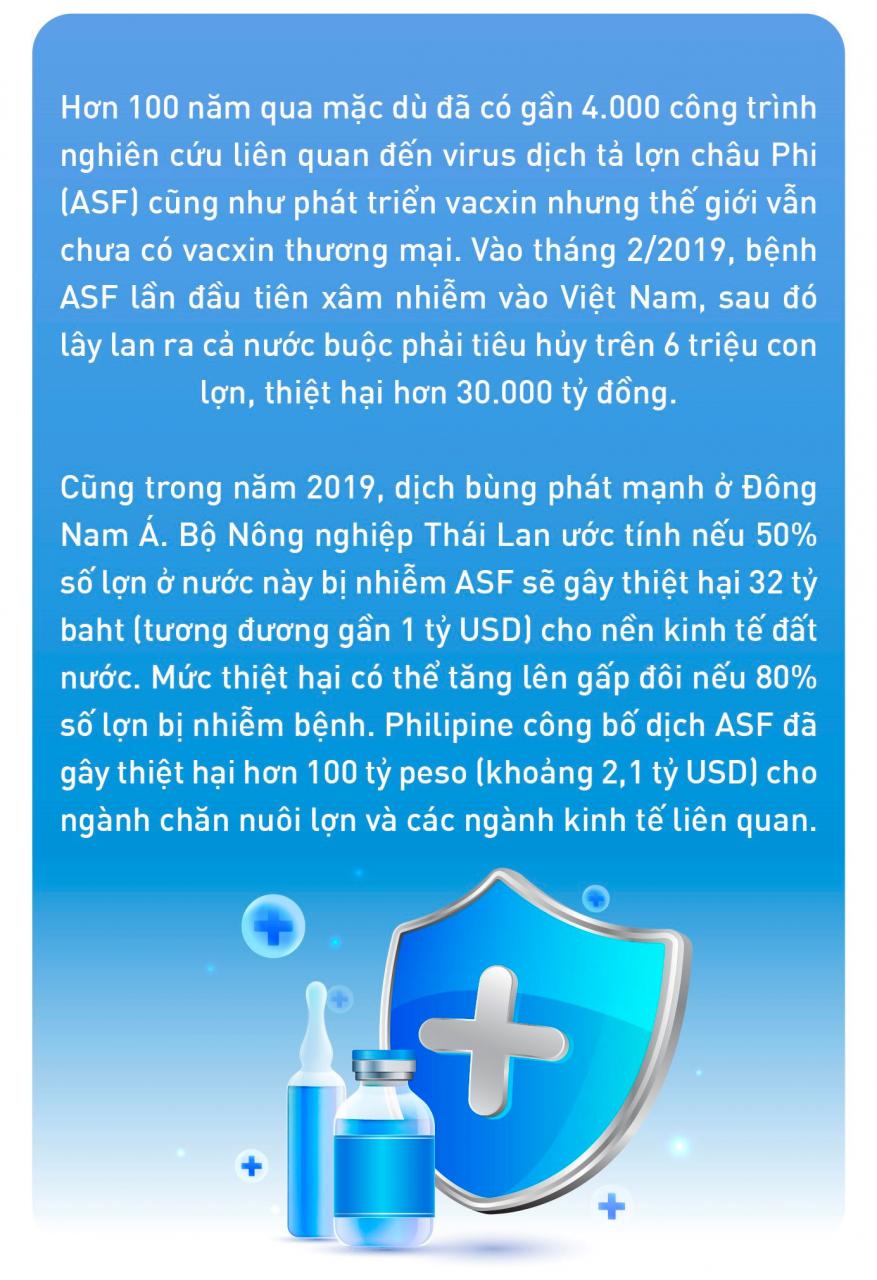 SẢN XUẤT THÀNH CÔNG VẮC XIN TẢ LỢN CHÂU PHI: Bằng cách nào một công ty thua lỗ 10 năm như AVAC làm được “việc khó” của thế giới? - Ảnh 1.