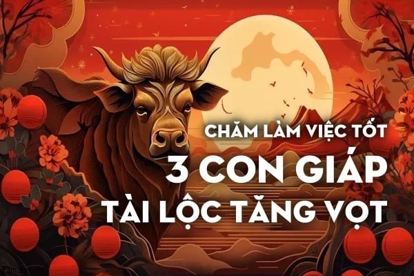 Chăm làm việc tốt cuối năm 2024 3 con giáp tài lộc tăng vun vút