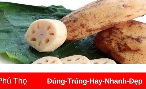 Món ăn bài thuốc chữa trị rụng tóc