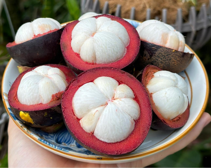 Ripe mangosteen has a deep purple color, shiny, smooth skin. Photo: Bao Tran