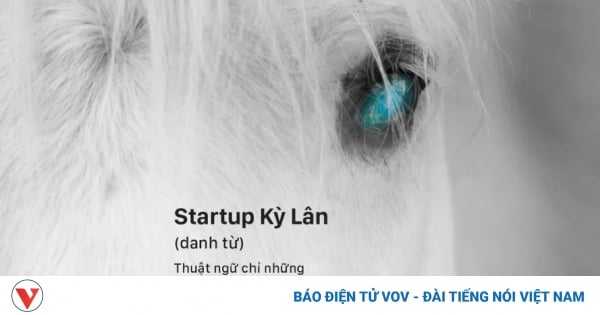 Những bài học quý từ các startup kỳ lân