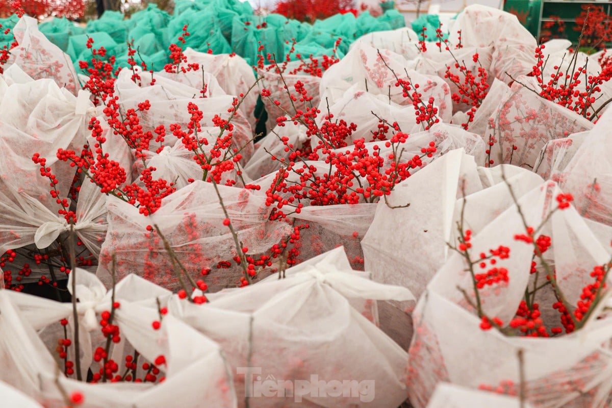 Des fleurs de pêche fraîches combinées à du bois flotté d'une valeur de plusieurs centaines de millions de dongs attirent toujours les clients photo 6