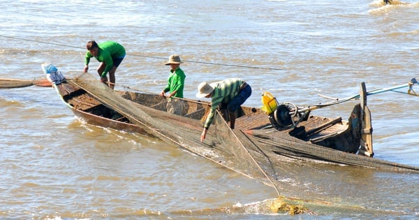 Miền Tây lũ muộn, nước sông Cửu Long thấp hơn bình thường cả mét