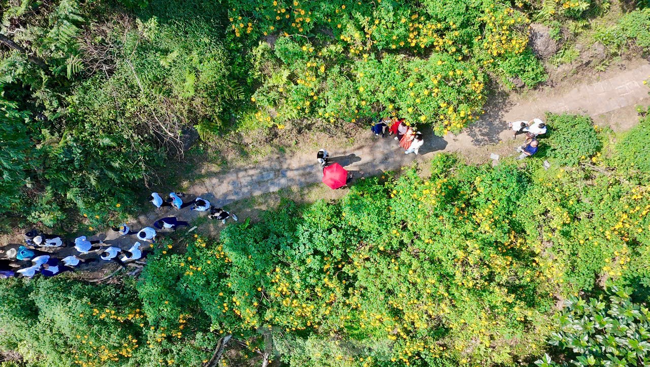 ハノイ郊外の野生のヒマワリに群がる人々（写真1）