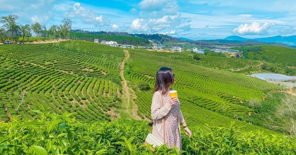 Descubre los lugares para tomar fotografías de "vida virtual" en Da Lat durante las vacaciones del 2,9