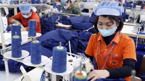 Après avoir atteint un niveau bas, les importations et les exportations ont progressivement repris ; Le marché de l’UE privilégie le caoutchouc vietnamien