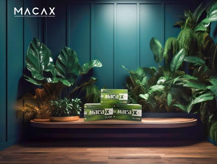 Maca X – a natural solution to support men's physiological health - 2