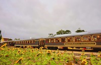 Opening of high-quality railway line in Da Lat