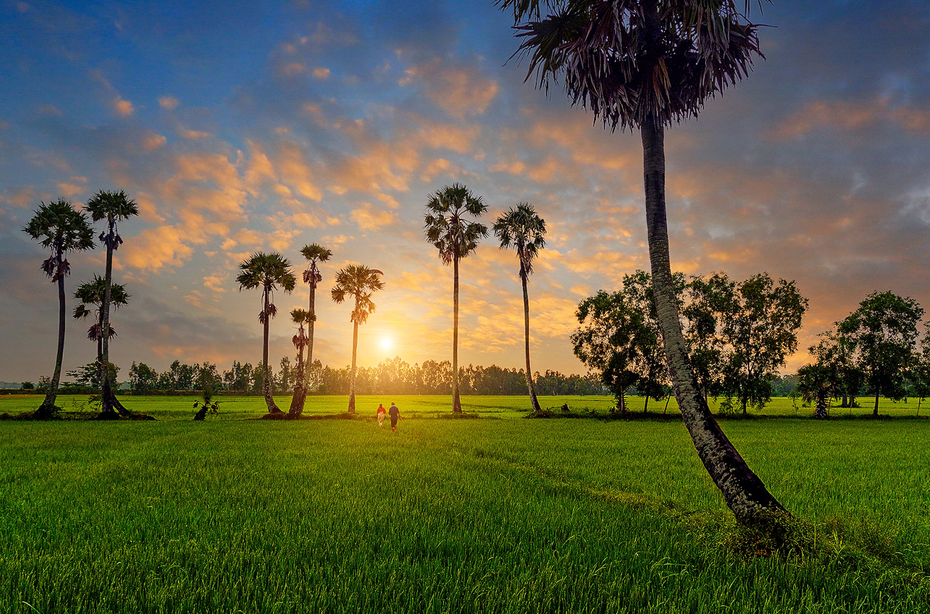 Le Vietnam est magnifique et extrêmement intéressant vu par les YouTubeurs étrangers