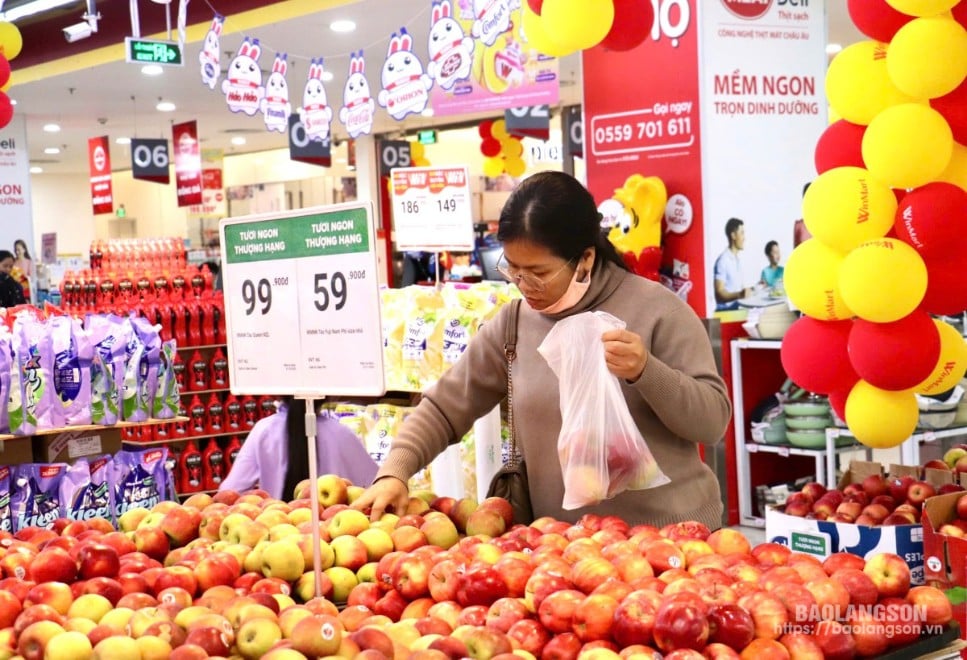 Festival of Vietnamese Ethnic Cultures