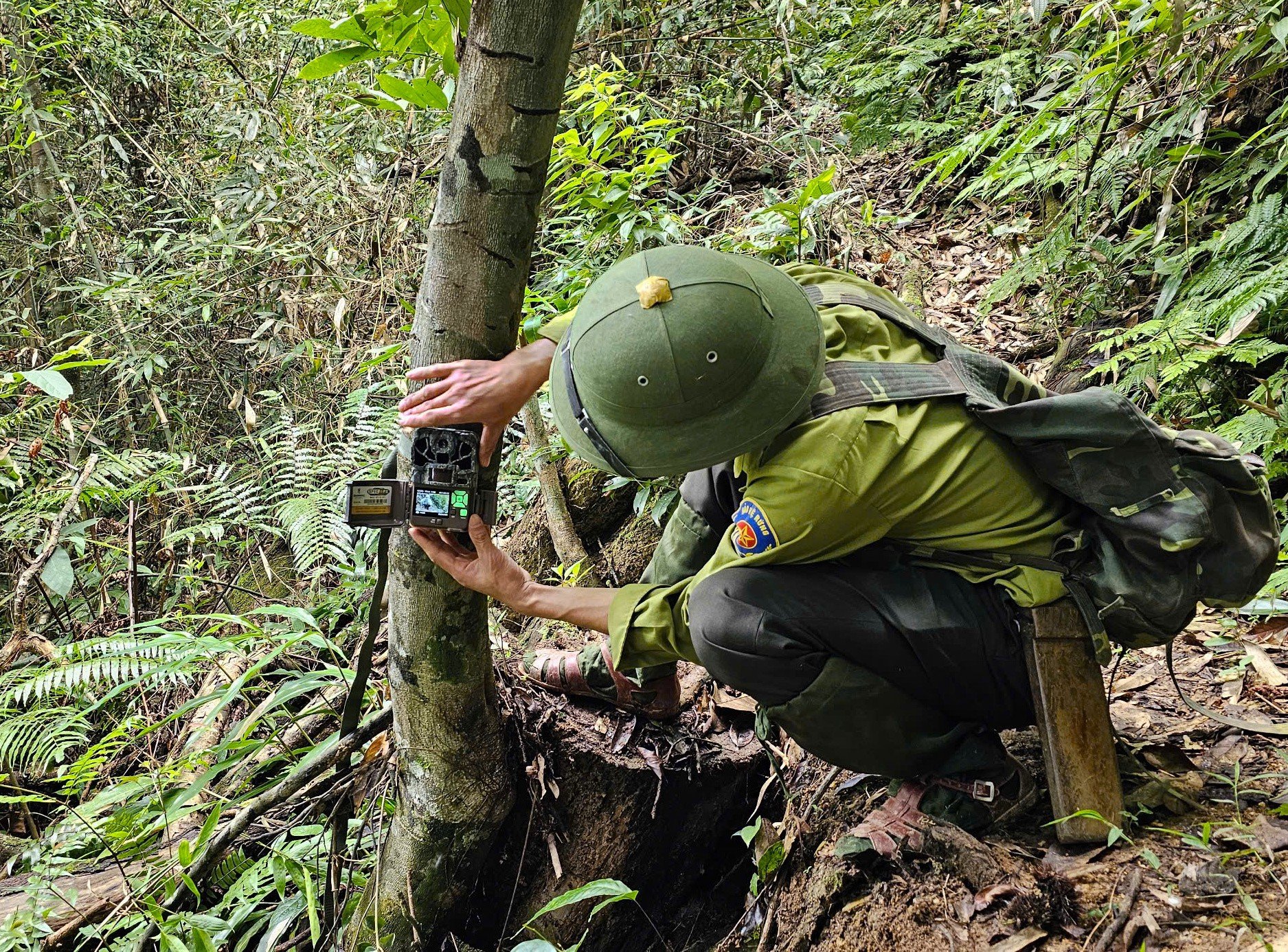 Ranger journey into the forest to set camera traps in Pu Huong Nature Reserve photo 8