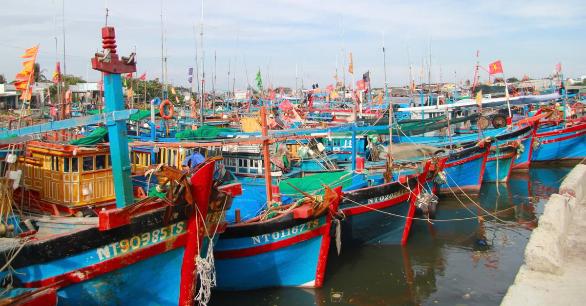 Les bateaux de pêche bloqués à cause des vents violents, les pêcheurs de Ninh Thuan craignent de perdre le Têt