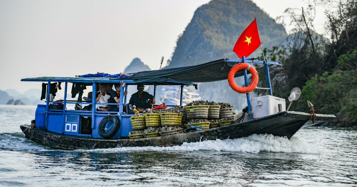 Hình ảnh mới nhất về biển Vân Đồn ‘hồi sinh’ sau bão